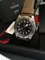 tudor red 2 copia.webp