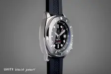 black pearl-unity.webp