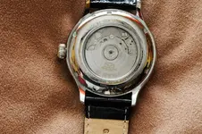 _DSC0373.webp _DSC0373.webp
