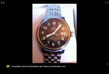 final_bstSnapshot_878681.webp