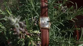 20171210_130448.webp