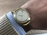 IMG_4156.webp IMG_4156.webp