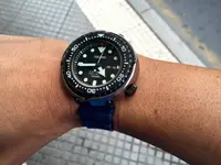 seiko 56.webp
