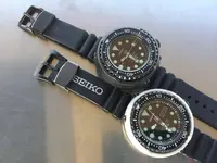 tuna 12.webp