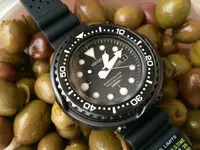 tuna 36.webp