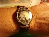 DSC01518.webp
