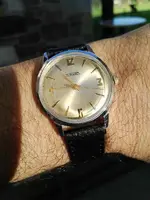1513936061198-1307394754.webp