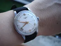 DSC05657.webp