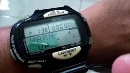 seiko pulse.webp