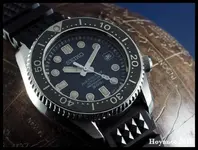 P1120174 (Copiar).webp