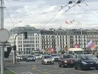 IMG_4705.webp IMG_4705.webp