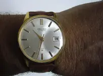 P1090020.webp