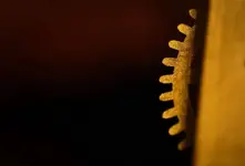 _DSC1649.webp