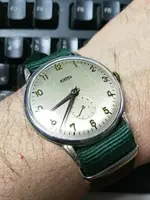 Roamer grande nato verde IMG_20180117_180312_resized_20180117_060457461.webp