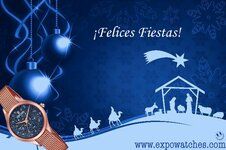 Felices Fiestas! Festina.jpg