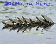 86165f580e25bc1a209db796_turtle_line_up.webp