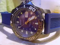 SNV30306.webp