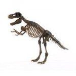 fossil-in-tube-t-rex-thumb-562.jpg