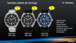 Tortuga Cadete.webp