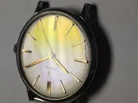 OMEGA CUERDA 1.webp