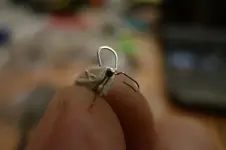 6.webp
