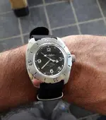 Anfibia NATO.webp