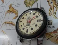 006.bfg 866_a.webp 006.bfg 866_a.webp