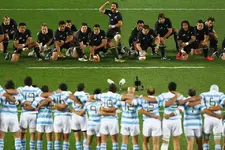 los-pumas-omiqbvuiibs0.webp