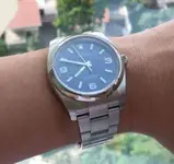 rolex op 36 blue 2.webp
