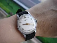 DSC05784.webp