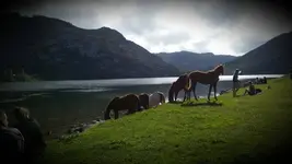 2017-10-13 09.43.08.webp