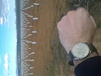 20180202_151203.webp