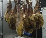 Paletas.webp