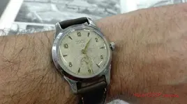 IMG_20180210_132820_wm.webp