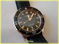 f-DSCN0433.webp