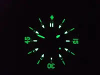DSCN0886.webp