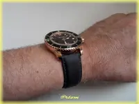 f-DSCN0471.webp