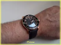 f-DSCN0470.webp