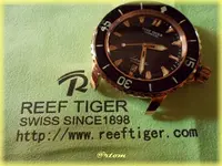 f-DSCN0469.webp