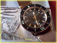 f-DSCN0453.webp
