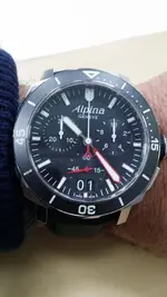 ALPINA MUÑECA.webp