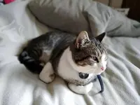 2018-01-25 14.46.01.webp