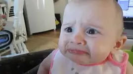 bebe-20150519111840434689.webp