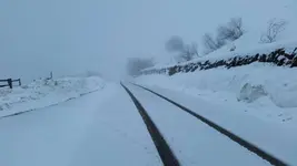 20180210_113005.webp