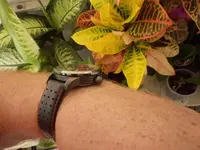 IMGP0561.webp