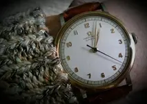 2018-02-04 12.46.58.webp