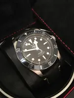 Tudor 2001.webp