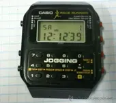 43404954.webp