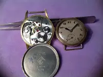 IMG_8030.webp IMG_8030.webp