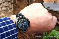 Seiko Bullhead 1.webp